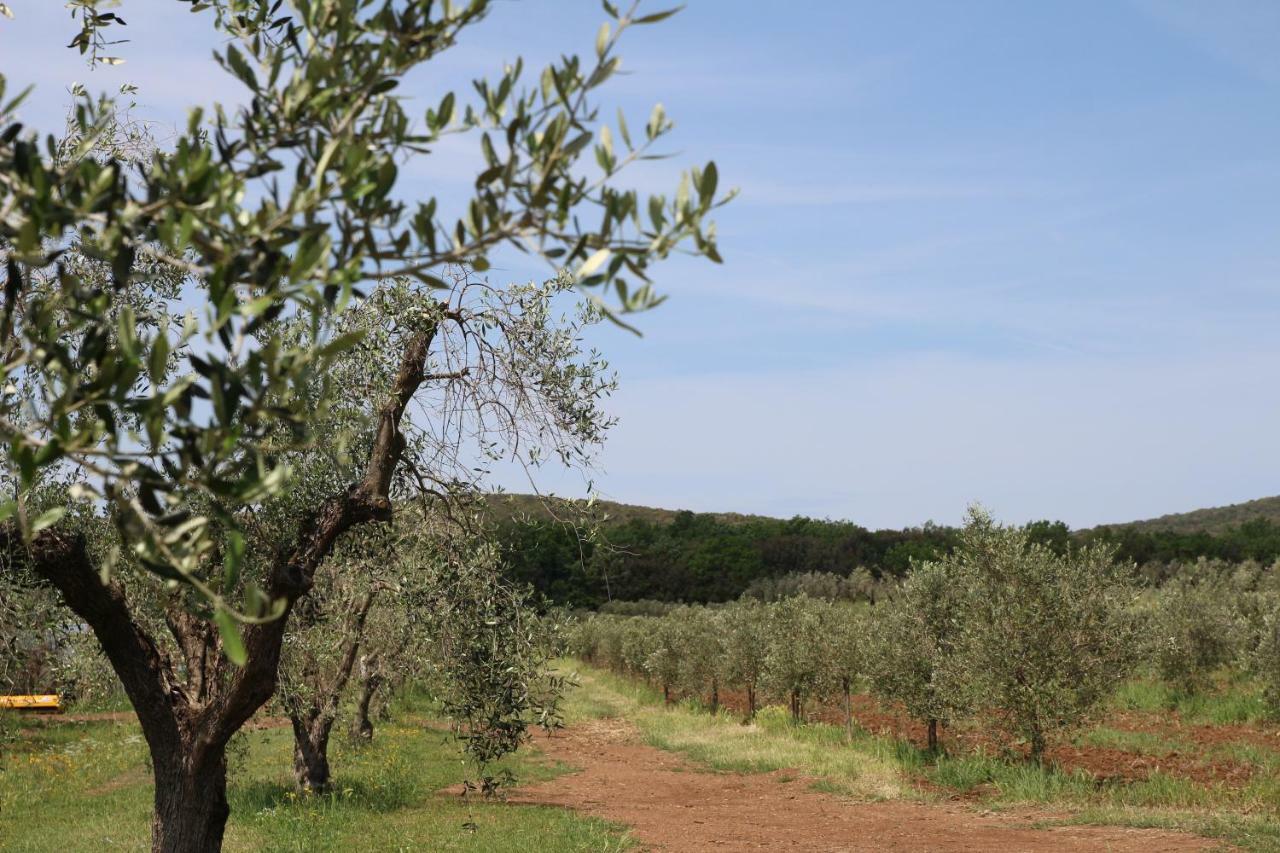 Agriturismo La Dolce Collina Villa Follonica Exterior photo